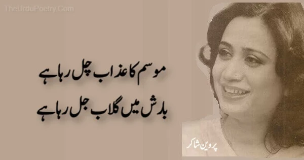 100+ Parveen Shakir Poetry in Urdu - Parvin Shaker Shayari 2023