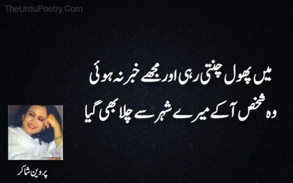 2 Line Parveen Shakir Poetry In Urdu