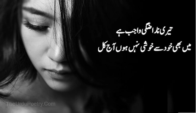 Heart Touching Sad Poetry In Urdu