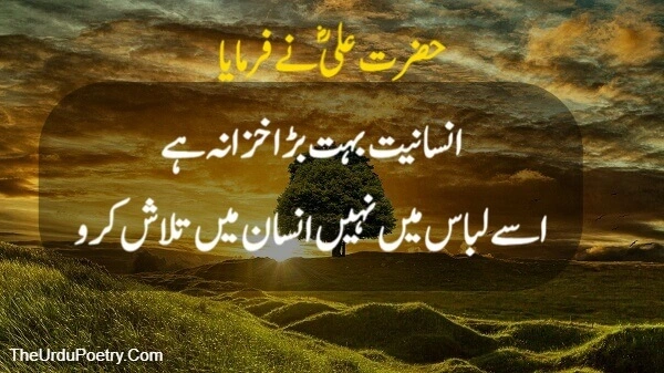 Hazrat Ali Quotes Urdu