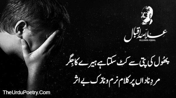 Poetry Allama Iqbal
